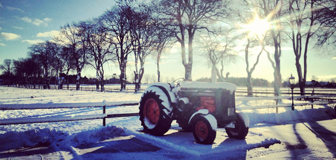 55an snö alle låg