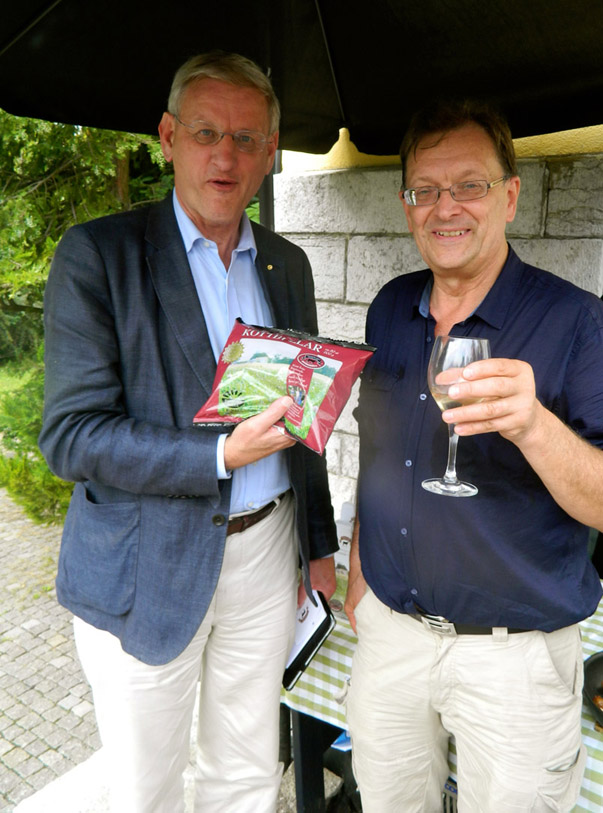 Carl Bildt almedalen 2013 låg