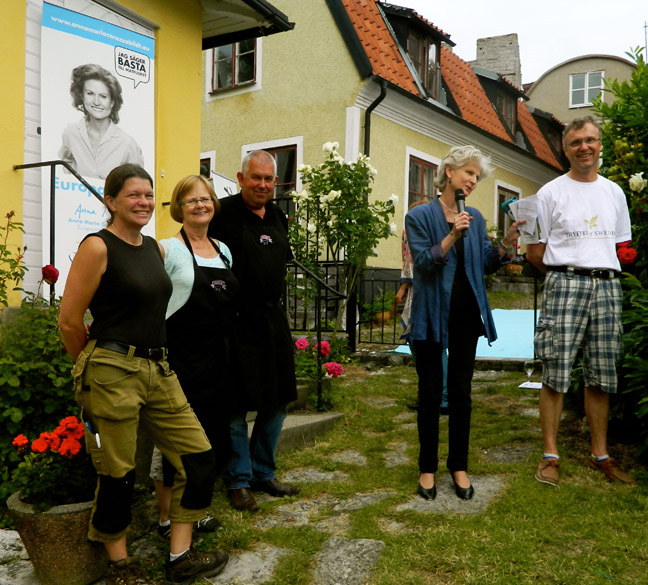 almedalen 2013 låg 